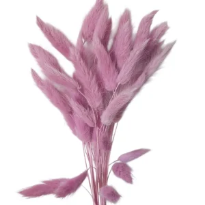 Raminho de flores secas -Lagurus -Rosa Velho